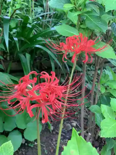 尊永寺(静岡県)