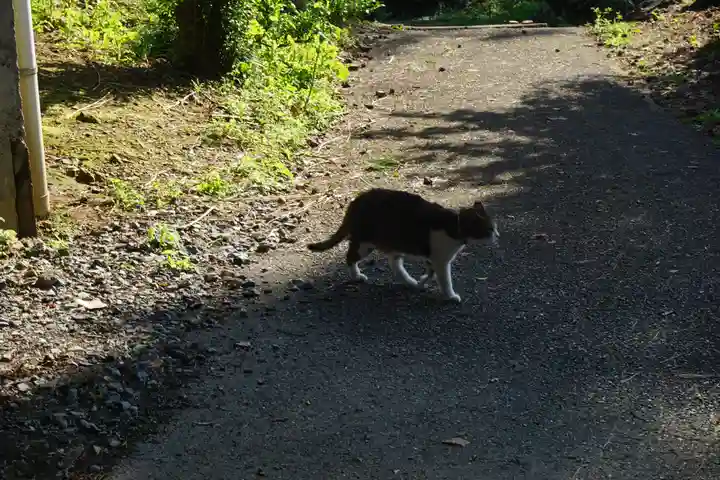 唐澤山神社の動物