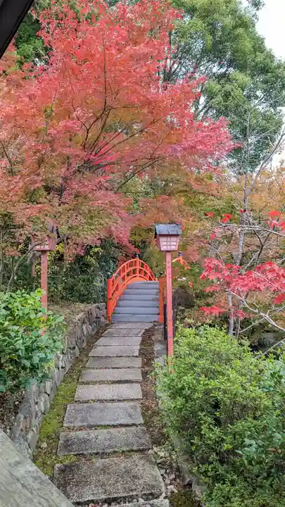正法寺(京都府)
