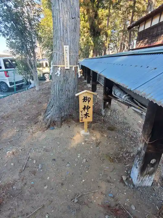 石原賀茂神社(群馬県)