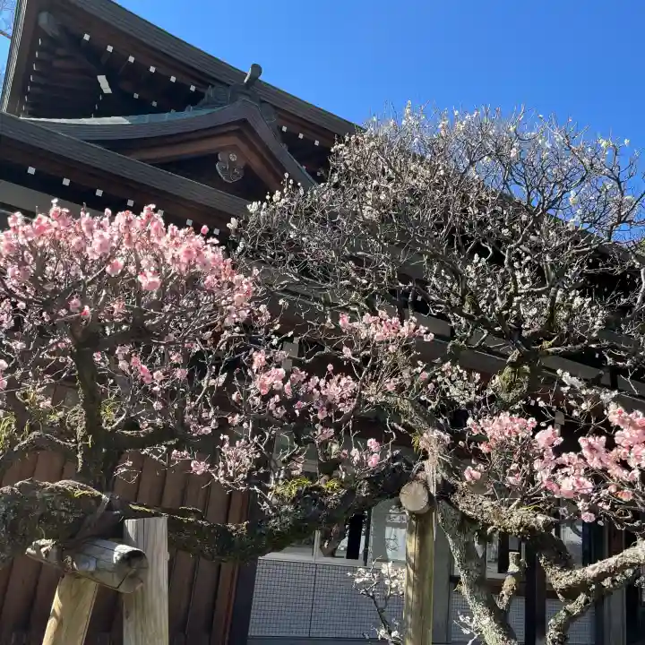 三嶋大社(静岡県)