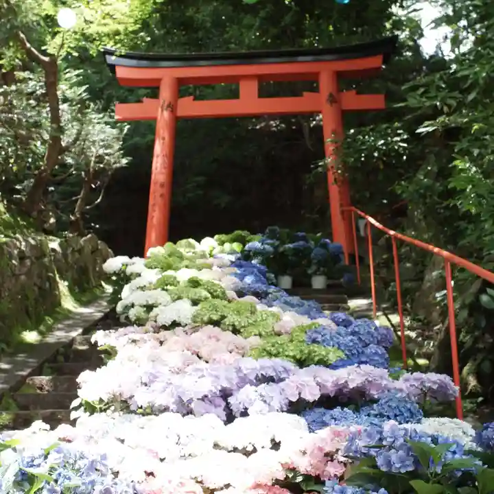 柳谷観音 楊谷寺(京都府)