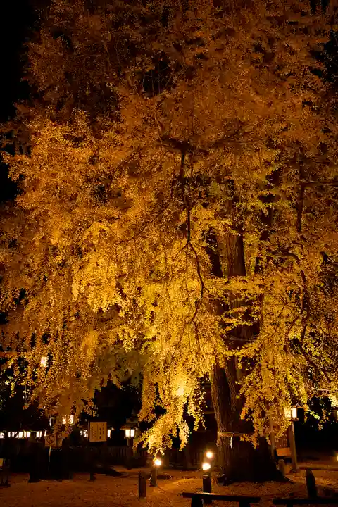 今宮神社(栃木県)
