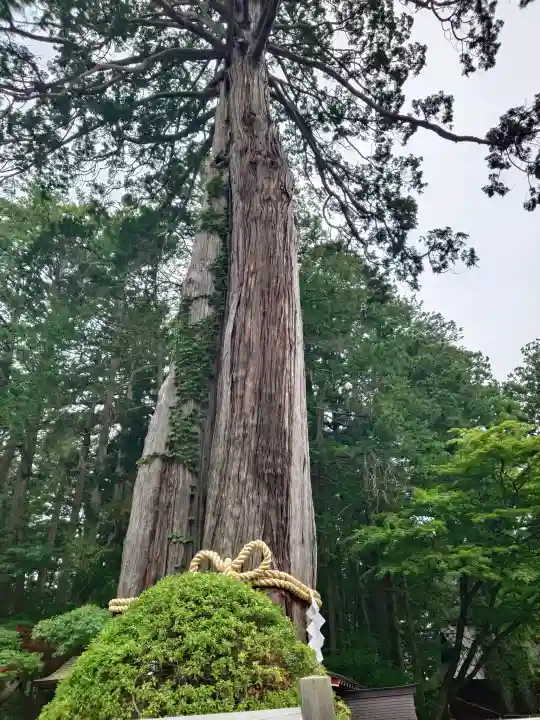 北口本宮冨士浅間神社(山梨県)