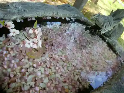 帯廣神社の手水舎