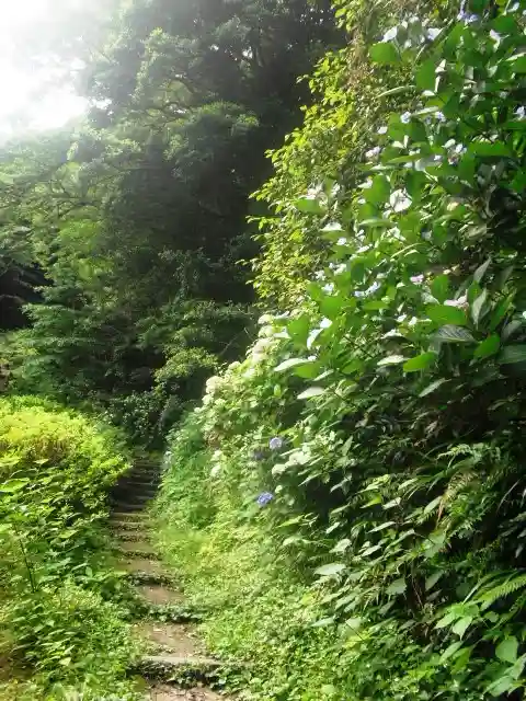 安國論寺(安国論寺)の自然
