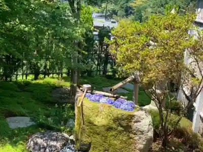 正寿院の手水舎