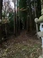 川崎神社の自然