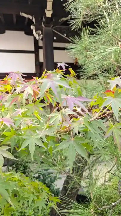 宝蔵寺(京都府)