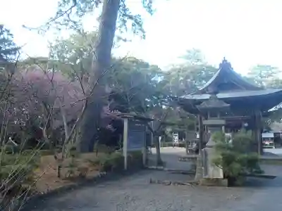 御穂神社(静岡県)