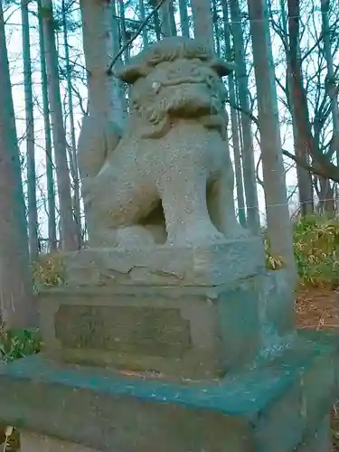 星野稲荷神社の狛犬