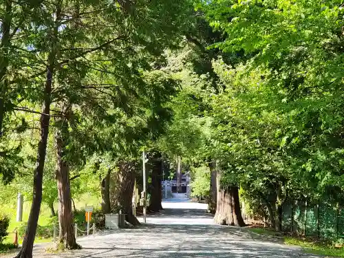 安志加茂神社の建物その他