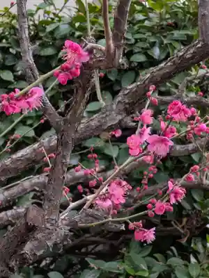 麻布氷川神社(東京都)