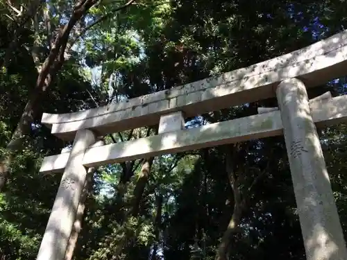 代々木八幡宮の鳥居