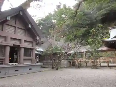 安房神社の本殿・本堂