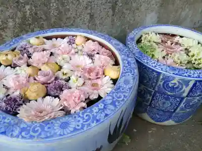 富士見稲荷神社の{uncategorized: "未分類", other: "その他", undefined: "問題あり", building: "その他建物", grave: "お墓", sacred_gate: "鳥居", guardian: "狛犬", statue: "像", buddha: "仏像", history: "歴史", nature: "自然", garden: "庭園", animal: "動物", pagoda: "塔", temizu: "手水舎", mountain_gate: "山門・神門", sanctuary: "本殿・本堂", subordinate: "末社・摂社", art: "芸術", scenery: "景色", jizo: "地蔵", ema: "絵馬", goshuin: "御朱印", omikuji: "おみくじ", items: "授与品その他", amulet: "お守り", goshuincho: "御朱印帳", eats: "食事", festival: "お祭り", votive_dance: "神楽", shichigosan: "七五三参", wedding: "結婚式", experience: "体験その他", initially: "初詣", around: "周辺", anti_infection: "感染症対策"}