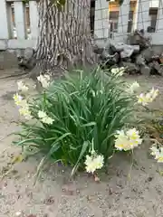 伊弉冊神社の自然