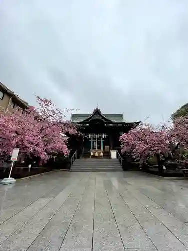 桜神宮(東京都)