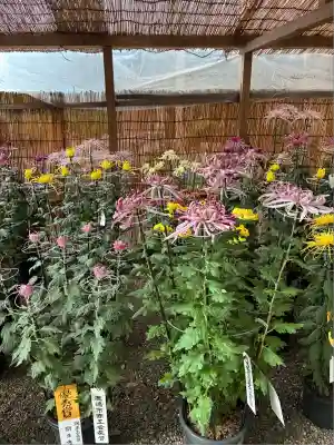 鹿島神宮(茨城県)