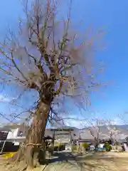 丹生酒殿神社(和歌山県)