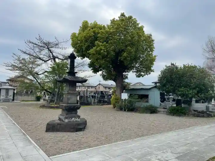 養報寺の{uncategorized: "未分類", other: "その他", undefined: "問題あり", building: "その他建物", grave: "お墓", sacred_gate: "鳥居", guardian: "狛犬", statue: "像", buddha: "仏像", history: "歴史", nature: "自然", garden: "庭園", animal: "動物", pagoda: "塔", temizu: "手水舎", mountain_gate: "山門・神門", sanctuary: "本殿・本堂", subordinate: "末社・摂社", art: "芸術", scenery: "景色", jizo: "地蔵", ema: "絵馬", goshuin: "御朱印", omikuji: "おみくじ", items: "授与品その他", amulet: "お守り", goshuincho: "御朱印帳", eats: "食事", festival: "お祭り", votive_dance: "神楽", shichigosan: "七五三参", wedding: "結婚式", experience: "体験その他", initially: "初詣", around: "周辺", anti_infection: "感染症対策"}