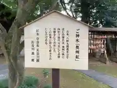 大宝八幡宮の歴史