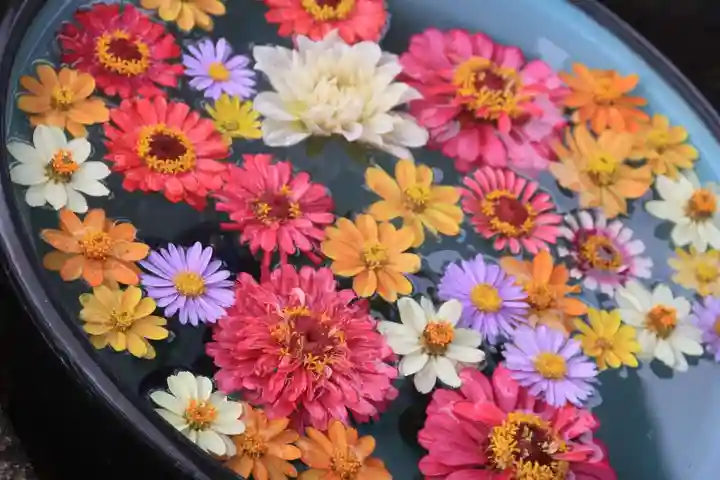大鏑神社の手水舎