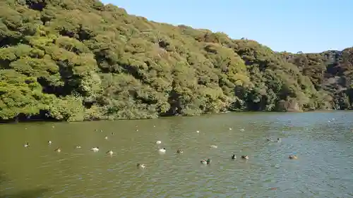 桜ヶ池池宮神社(静岡県)