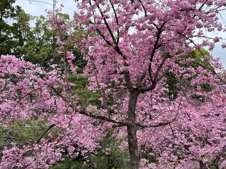 平安神宮(京都府)