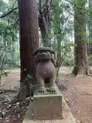 熊野神社の狛犬