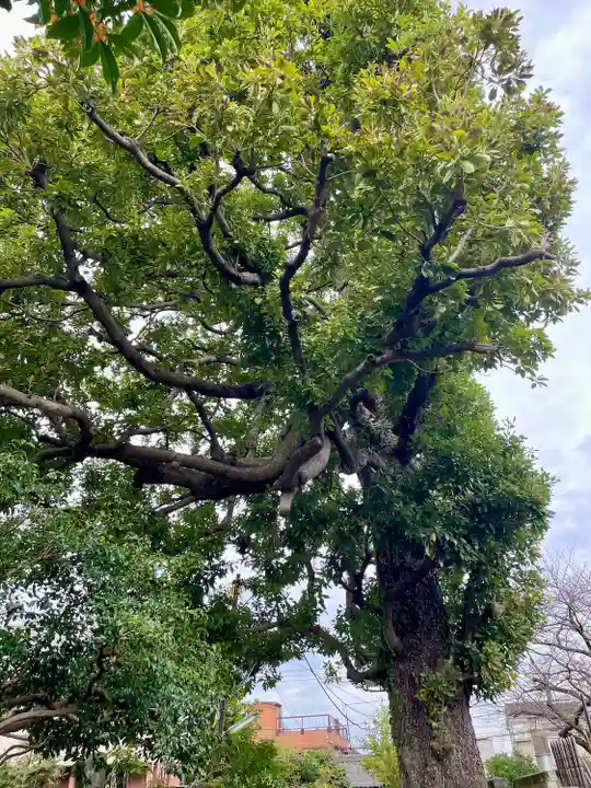 佛心寺(東京都)