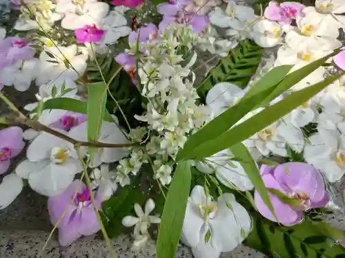 住吉神社の手水舎