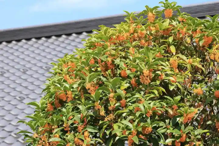 豊景神社の庭園