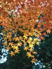 神炊館神社 ⁂奥州須賀川総鎮守⁂(福島県)