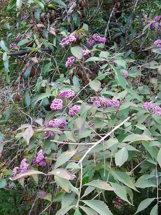 瀧宮神社(広島県)