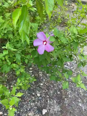 国上寺(新潟県)