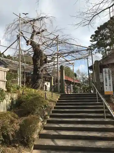 千手院の庭園