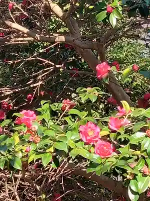 南法華寺(壷阪寺)(奈良県)