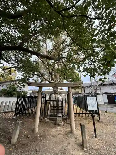 泉穴師神社(大阪府)