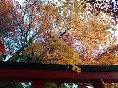 太皷谷稲成神社(島根県)