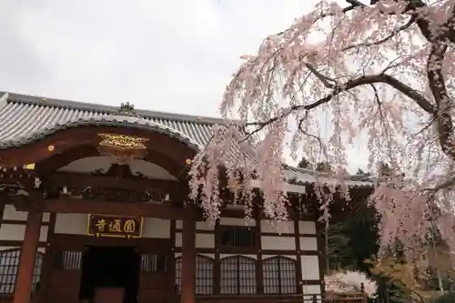 円通寺の本殿・本堂