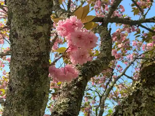 木舟山　順教寺(広島県)