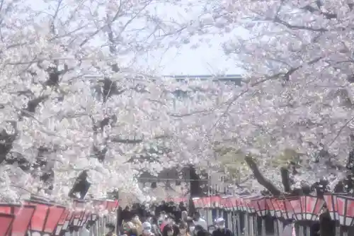 三嶋大社の自然