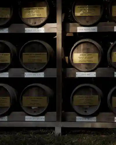 明治神宮(東京都)