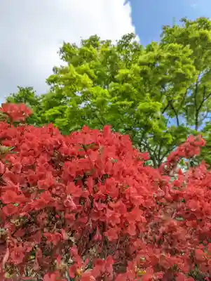 長岡天満宮(京都府)