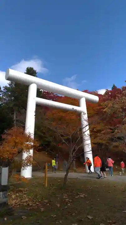 土津神社|こどもと出世の神さまの鳥居