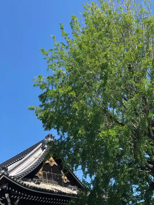 本願寺(西本願寺)のその他建物