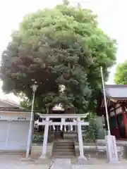 女塚神社の建物その他