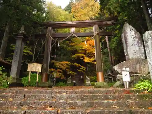 戸隠神社火之御子社の鳥居