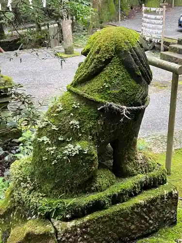 花園神社(茨城県)